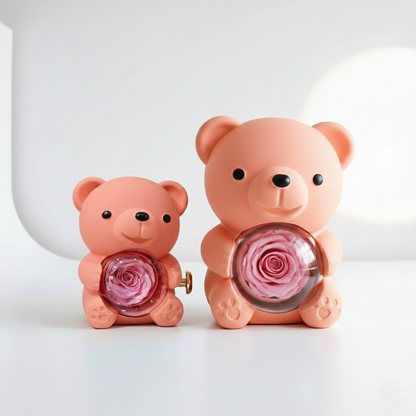 Rose Bear Teddy with Gift Box